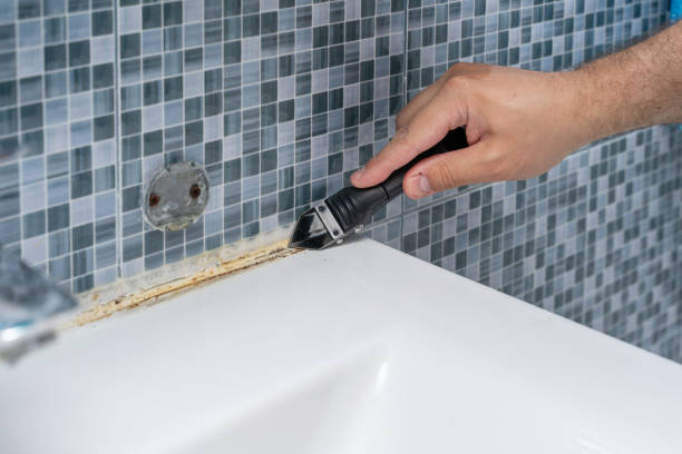 Best Residential Mold Removal  in Catalina, AZ